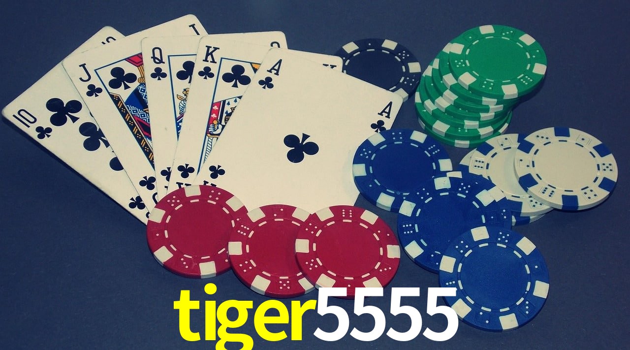 Casino VIP tiger5555